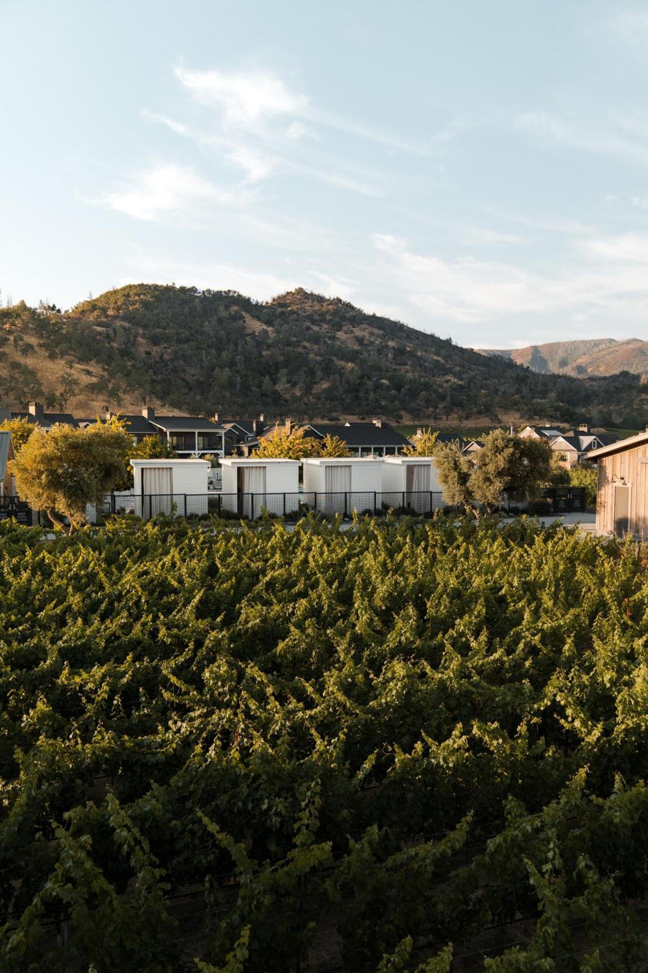 קליסטוגה Four Seasons Resort Napa Valley מראה חיצוני תמונה